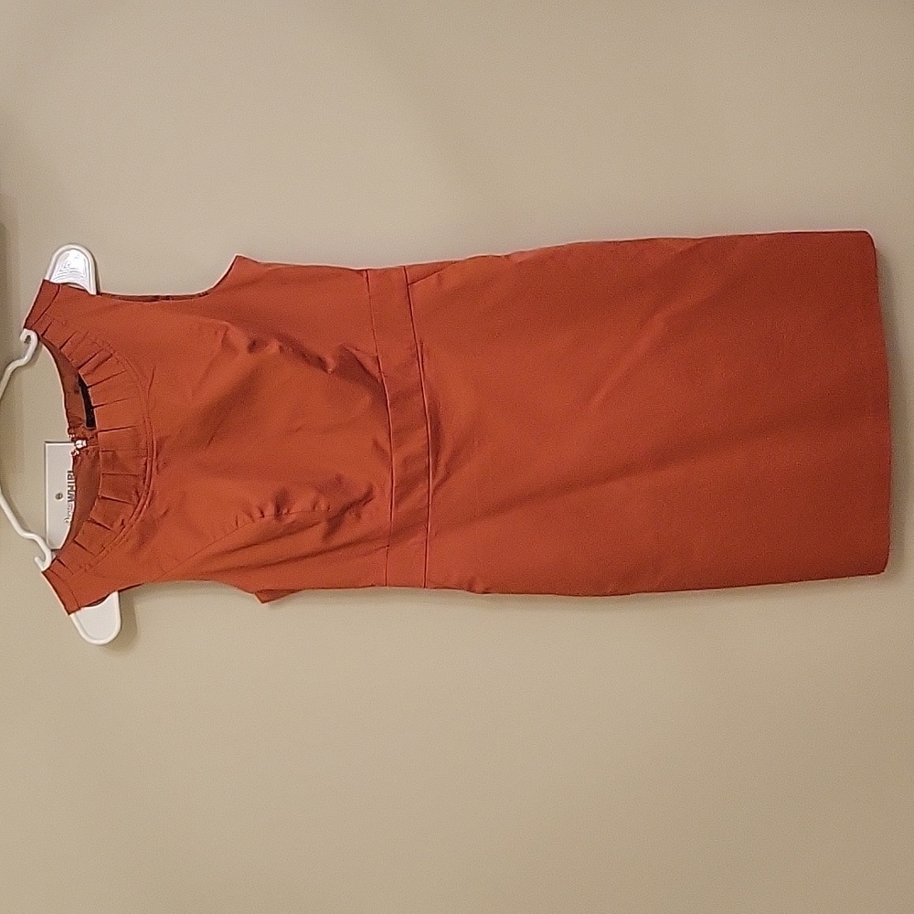 The Limited Dress Burnt Orange Size 6 with Pockets!